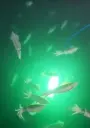 Screenshot_20260714-192353.YouTube.webp